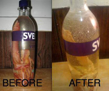 Illustration for article titled Taste test: Bacon-infused vodka
